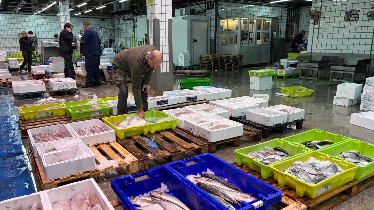 El pescado, rey de la Navidad. ONDA VASCA
