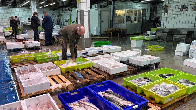 El pescado, rey de la Navidad. ONDA VASCA
