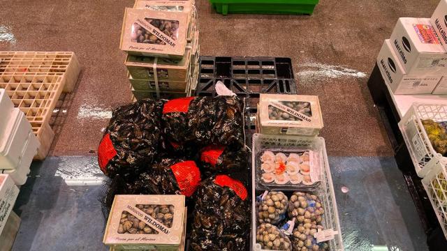 Cajas de marisco en Mercabilbao. ONDA VASCA Cajas de marisco en Mercabilbao. ONDA VASCA