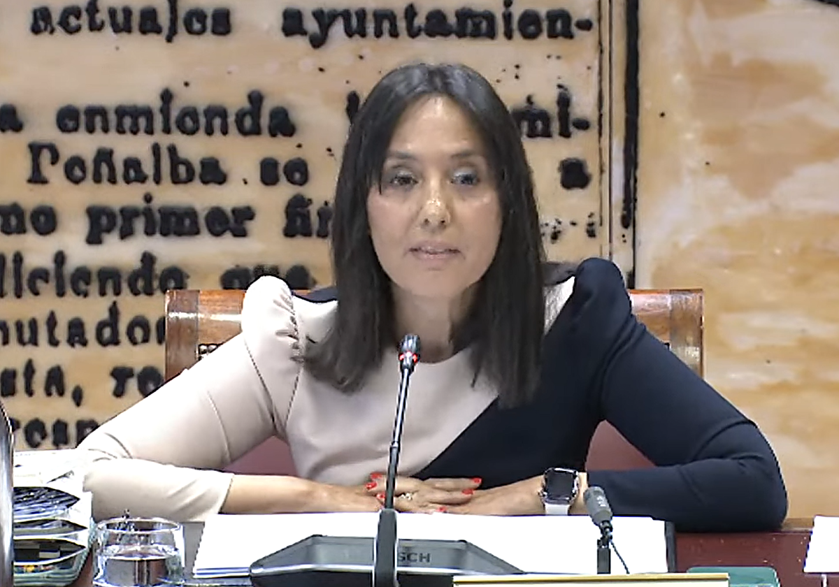 La directora de la Guardia Civil, Mercedes González, en su comparecencia ante el Senado. / EP.