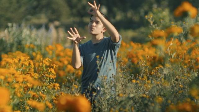 IMAGEN: www.zinebi.eus