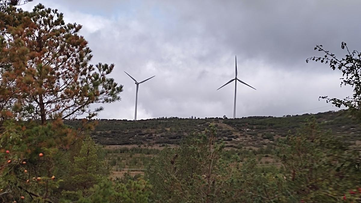 Rioja Alavesa verá iniciar en los próximos meses la construcción de un parque eólico de ocho aerogeneradores repartidos entre los concejos de Barriobusto y Labraza. EP