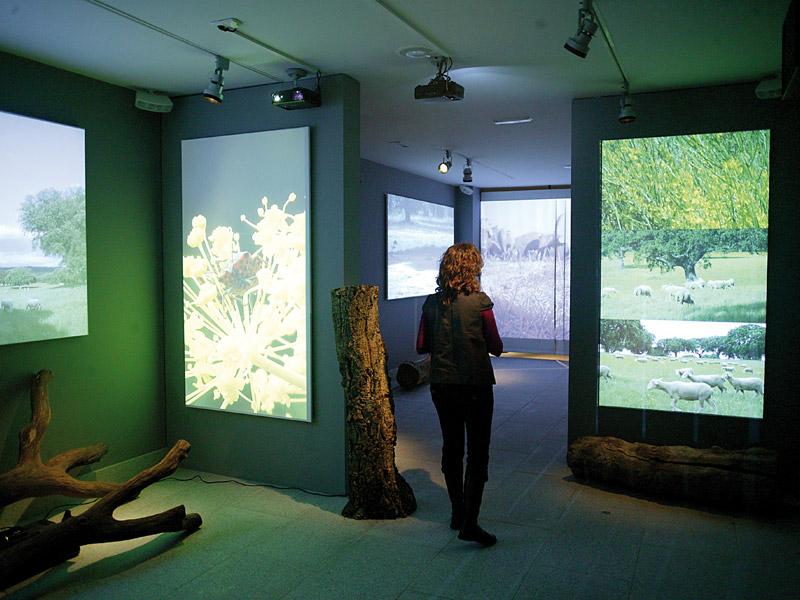 Museo de la Industria Chacinera de Guijuelo.