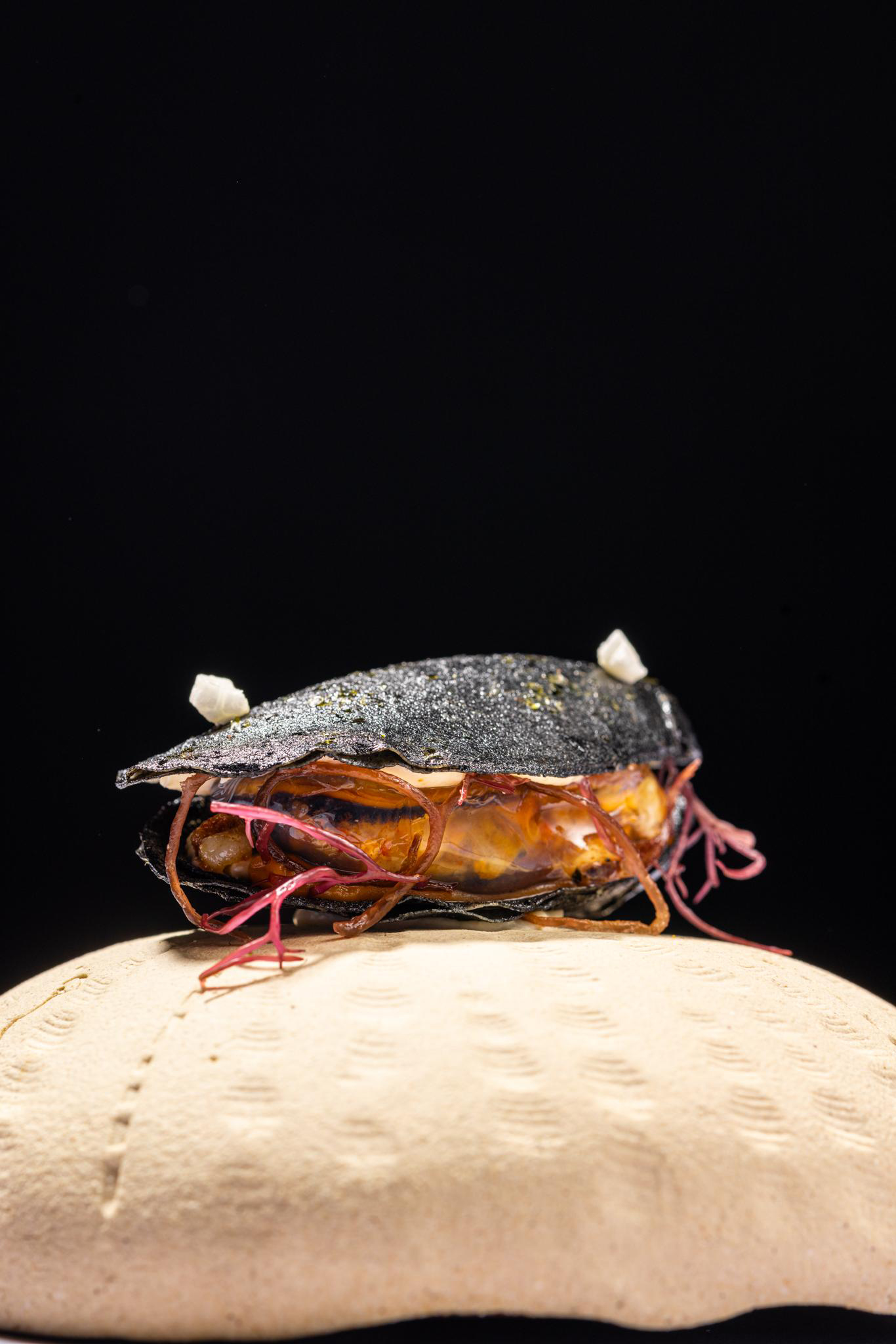 Naiades, del Terrae de Kanbo, pintxo ganador del Campeonato de Pintxos Euskadi y Navarra. Foto: Campeonato de Pintxos Euskadi y Navarra