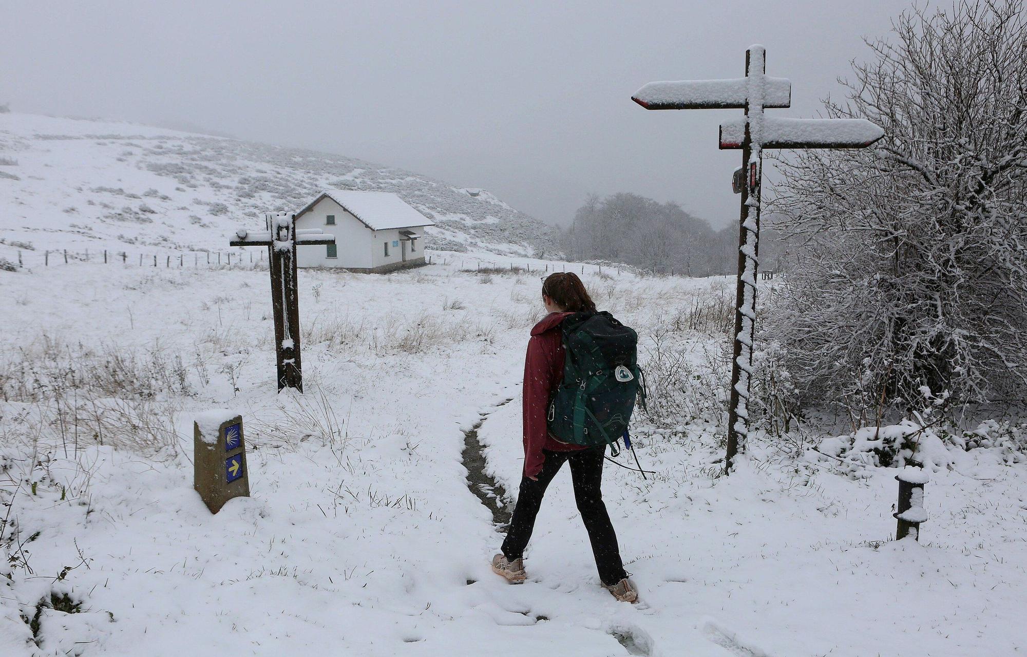 Primera nevada de la temporada en Navarra. Javier Bergasa