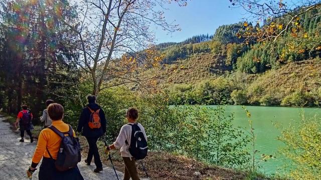 nordic walking