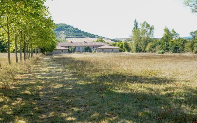 Estado de las campas de Olarizu antes de las labores de acondicionamiento llevadas a cabo este miércoles 10 de septiembre DNA