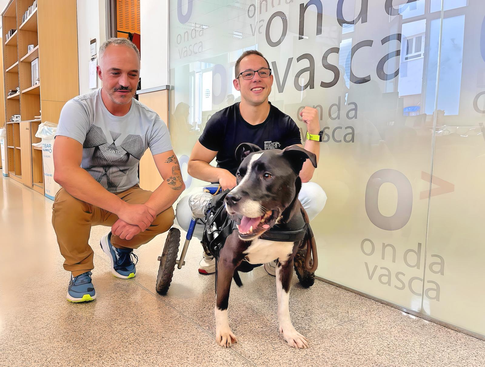 Diego y Dom con el director de Café con Patas (Jon Arraibi) en los estudios de Onda Vasca