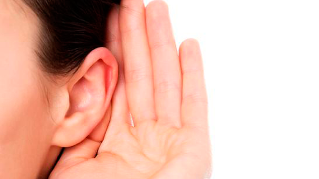 Oreja