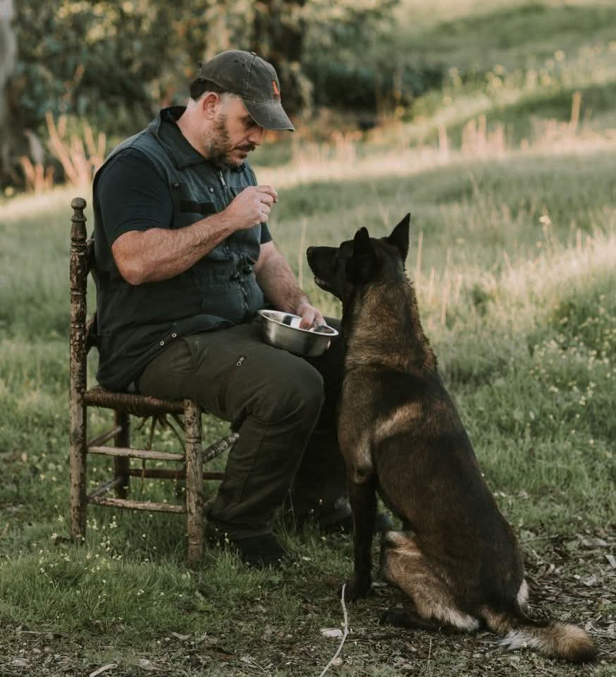 Manuel Pacheco, entrenador canino Manuel Pacheco, entrenador canino