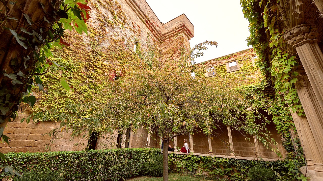 Palacio Real de Olite