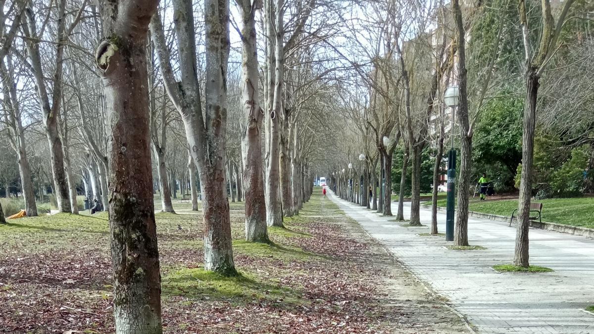 Imagen de archivo del parque de Arriaga Cedida