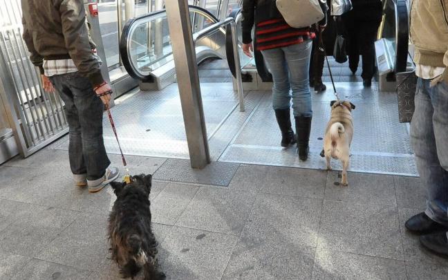 Pasajeros accediendo a Metro Bilbao con sus mascotas / Deia - José Mari Martínez