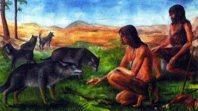 perros origen