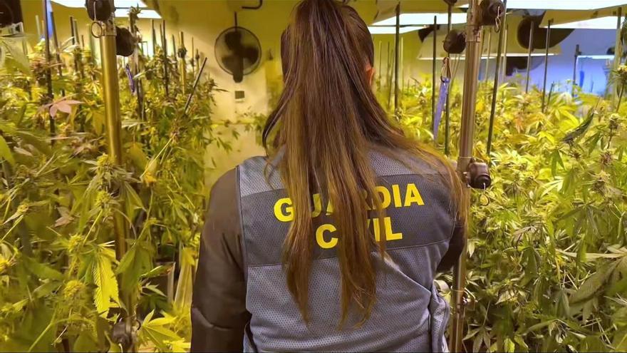 Una agente del operativo, en la nave de Noáin. Cedida