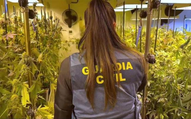 Una agente del operativo, en la nave de Noáin. Cedida