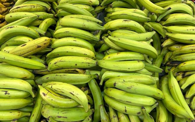 Plátanos verdes. Wikipedia