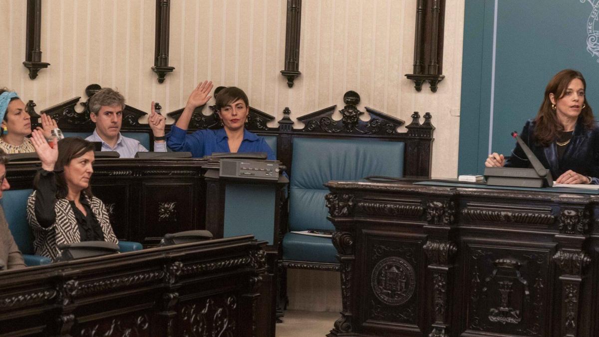 Pleno del Ayuntamiento de Vitoria-Gasteiz. DNA 