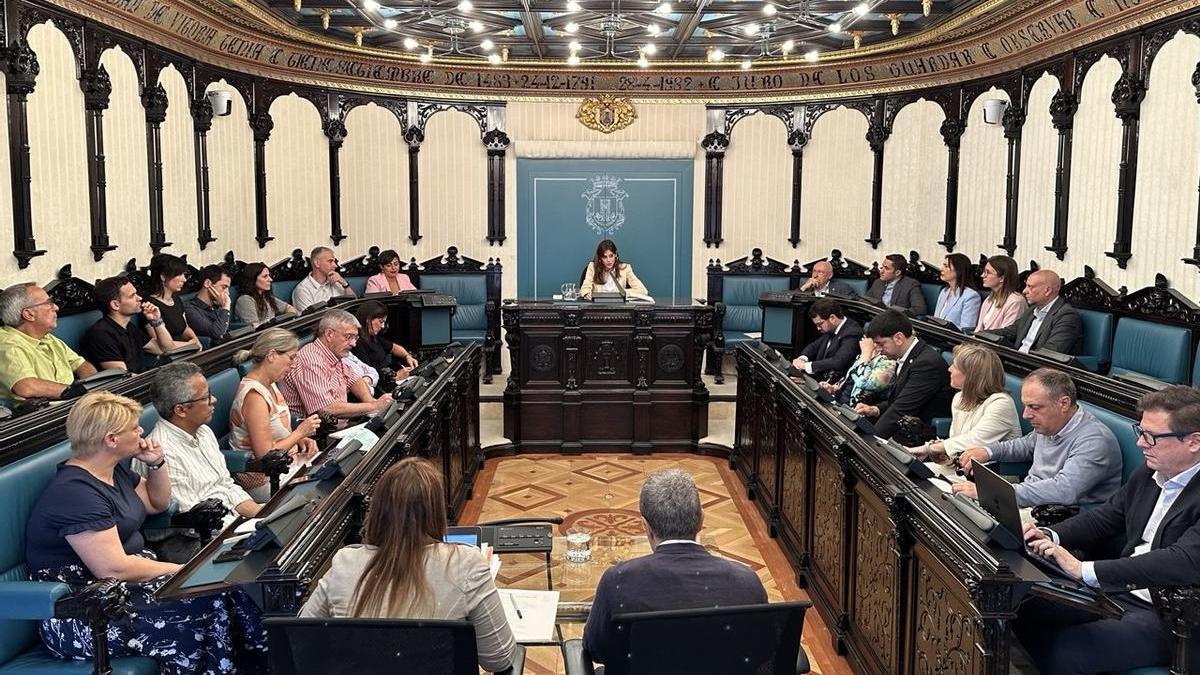Pleno Ayuntamiento de Vitoria-Gasteiz Cedida