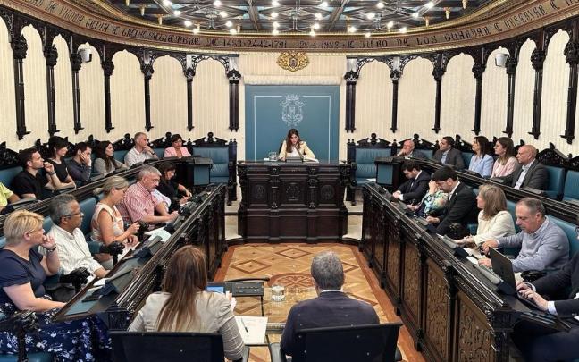 Pleno Ayuntamiento de Vitoria-Gasteiz Cedida