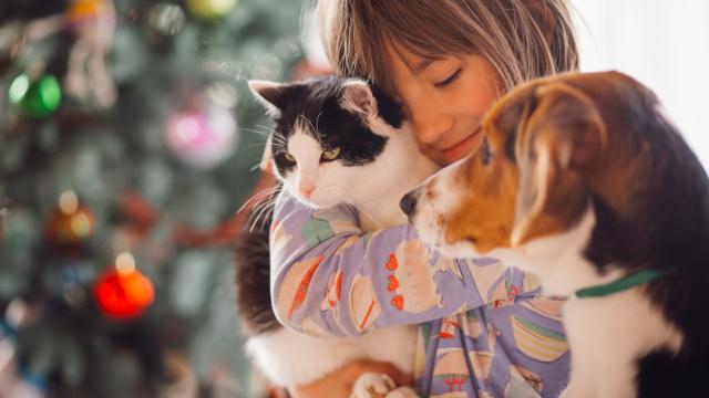 Imagen de archivo de una mujer con sus mascotas | magnific.com