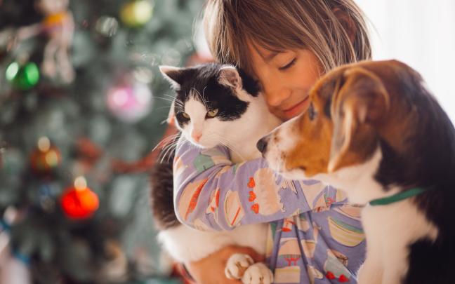 Imagen de archivo de una mujer con sus mascotas | magnific.com