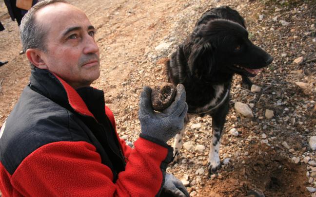 Caza de trufa. Diputación de Soria
