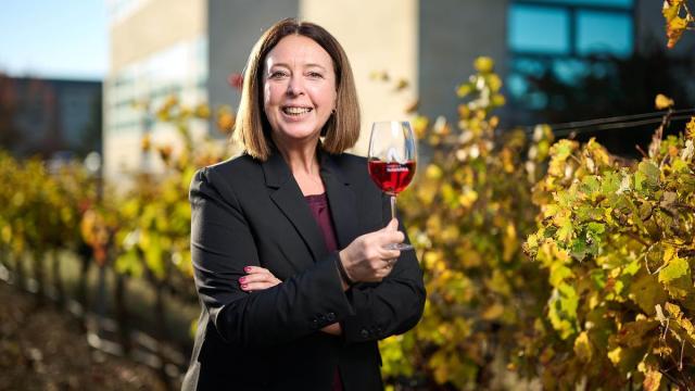 Puy Trigueros, gerente de la DO Navarra