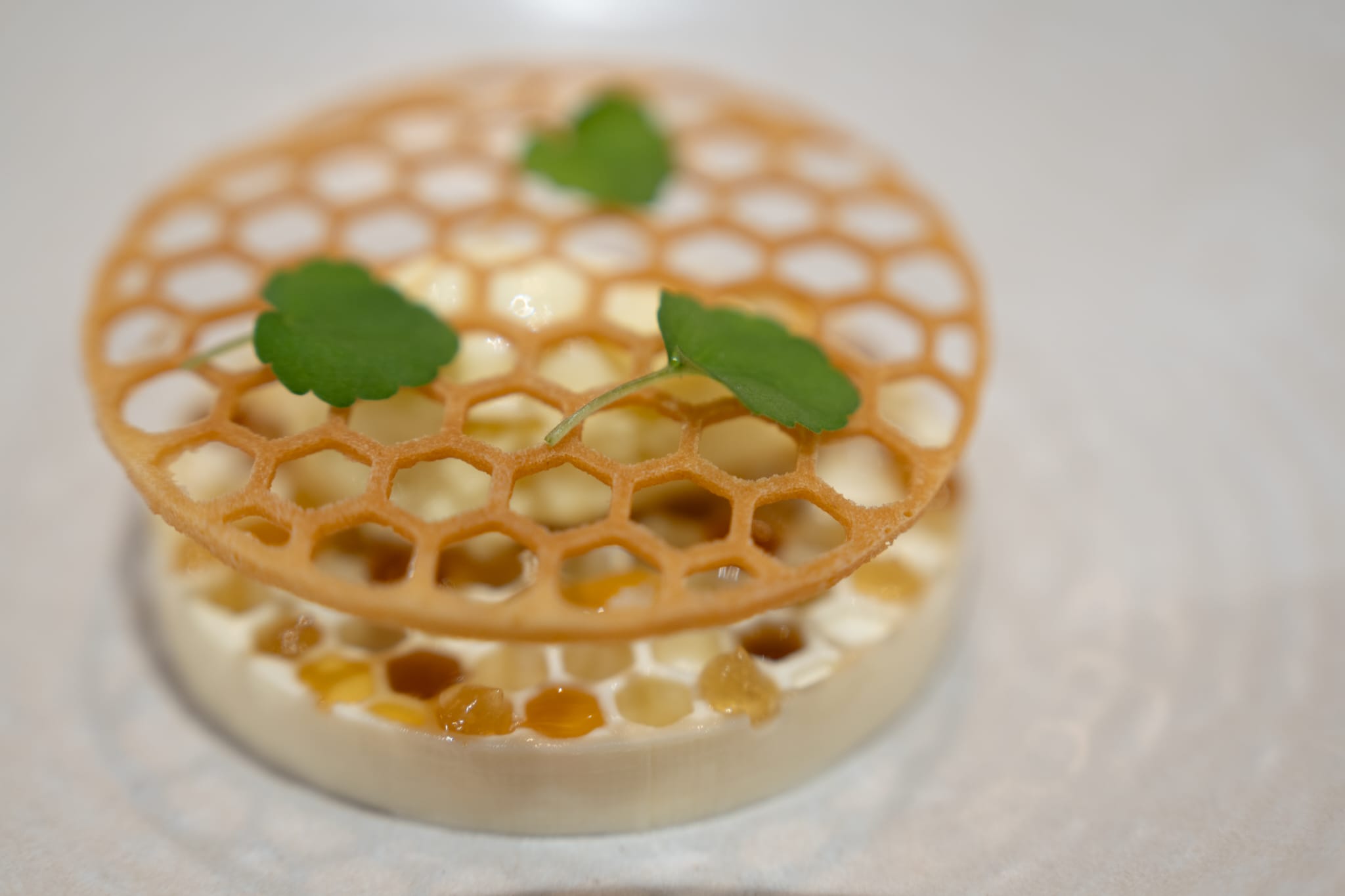 Uno de los platos del restaurante Terrae de Kanbo. Foto: restaurant-terrae.fr