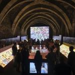 Exposición Rock Navarro