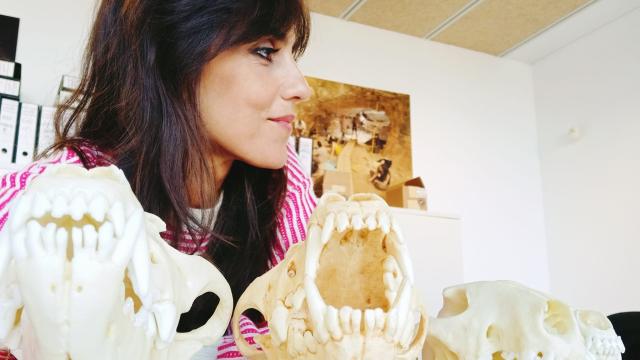 Ruth Blasco Origen del Perro