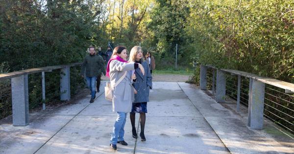 Los miembros del Consejo de Gerencia de Urbanismo y de la Comisión de Urbanismo del Ayuntamiento de Pamplona visitan el parque de Aranzadi. Foto: Ayuntamiento de Pamplona