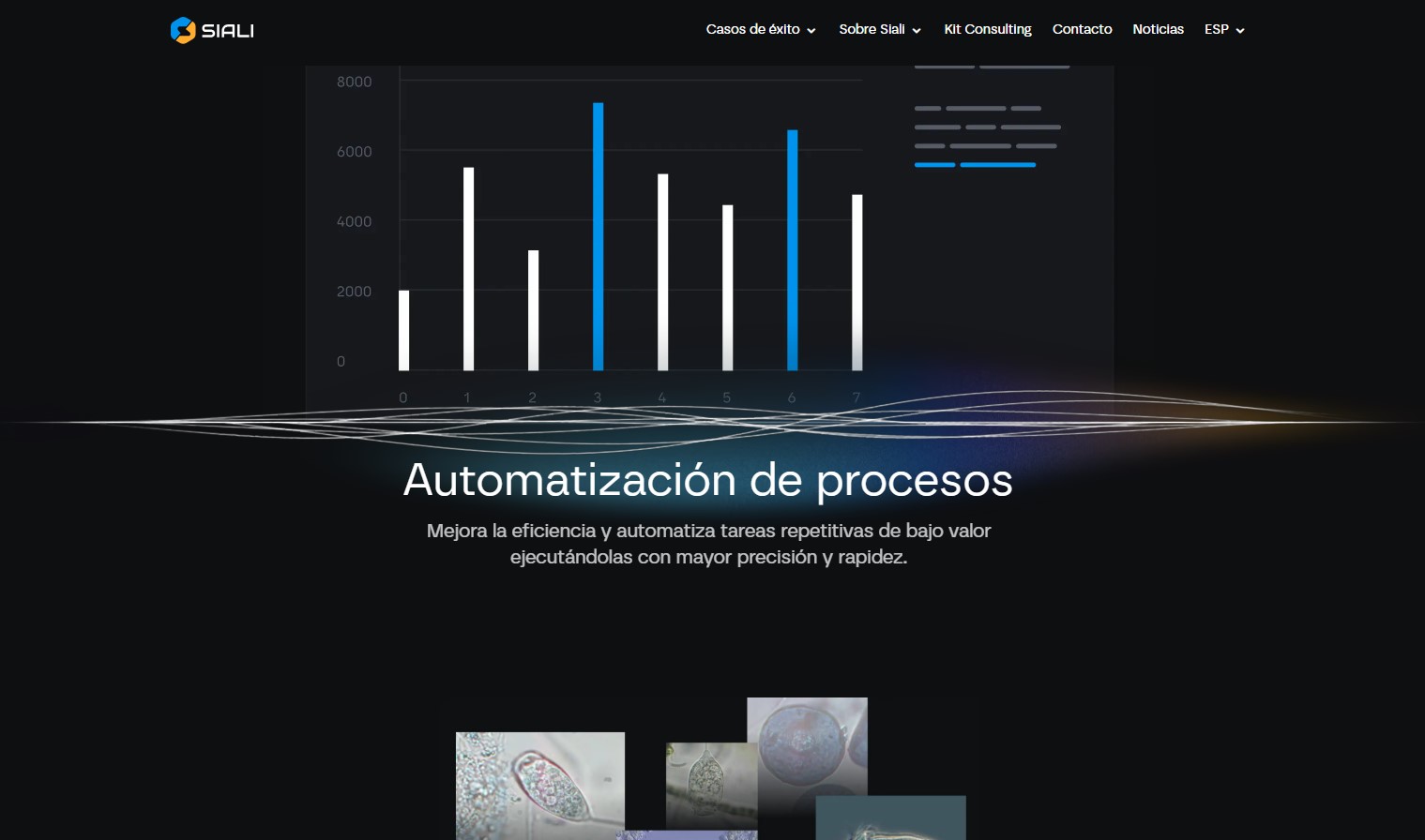 Web de Siali