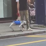 El perro viral de Bilbao
