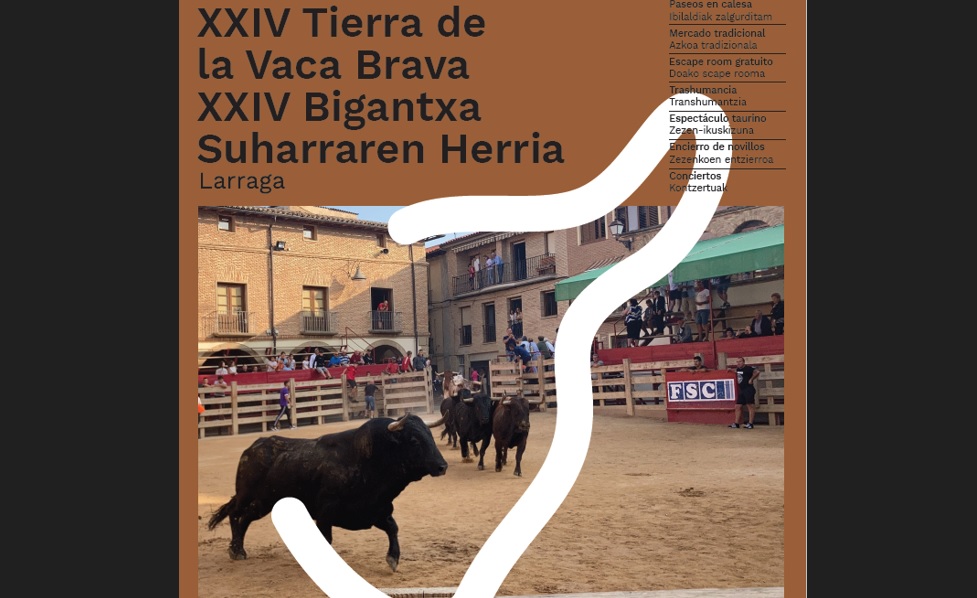 Larraga, tierra de la vaca brava