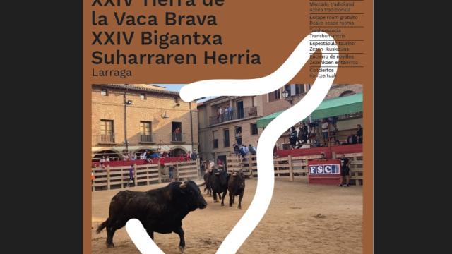 Larraga, tierra de la vaca brava