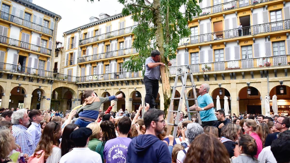 La corteza del freno se corta para ser repartida entre los asistentes al acto de la plaza de La Constitución. ARNAITZ RUBIO / DNG