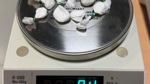 Droga incautada en Bergara. DEPARTAMENTO DE SEGURIDAD