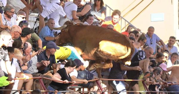 Así ha sido el salto de un toro a la grada en Cadreita Ángel López Alemán