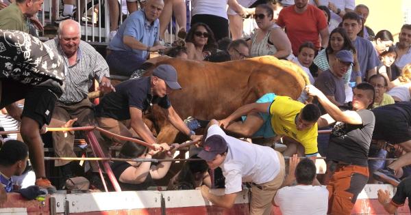 Así ha sido el salto de un toro a la grada en Cadreita Ángel López Alemán