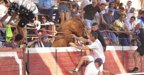 Así ha sido el salto de un toro a la grada en Cadreita Ángel López Alemán