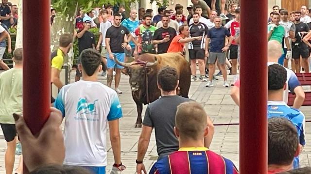 El toro ensogado, el pasado domingo / Noticias de Navarra - M.S.G.