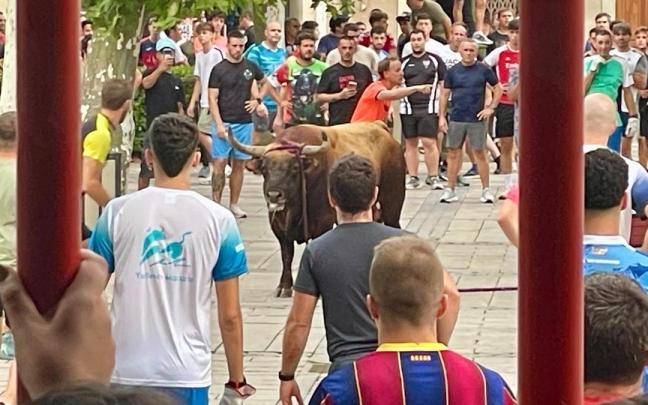 El toro ensogado, el pasado domingo / Noticias de Navarra - M.S.G.