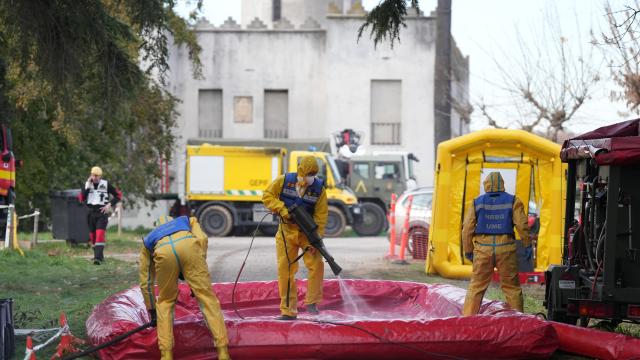 Efectivos de la UME desinfectan vehículos en el marco del dispositivo para controlar la peste porcina. EP