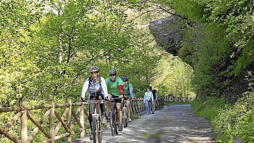 Varios ciclistas y paseantes en la ruta de Leitzaran. | ANDOAINGO UDALA