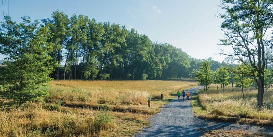 Tramo en el que se van a acometer las obras. 