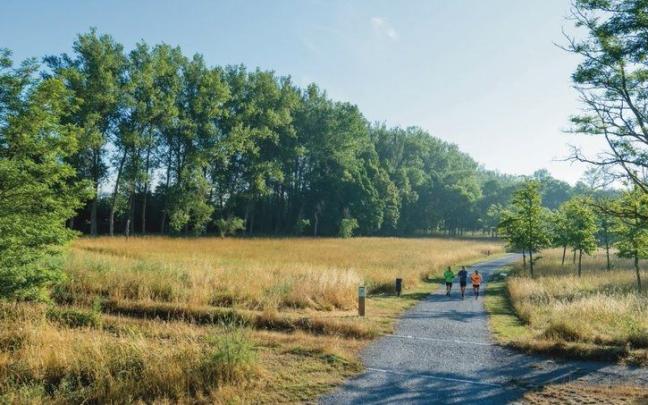 Tramo en el que se van a acometer las obras. 