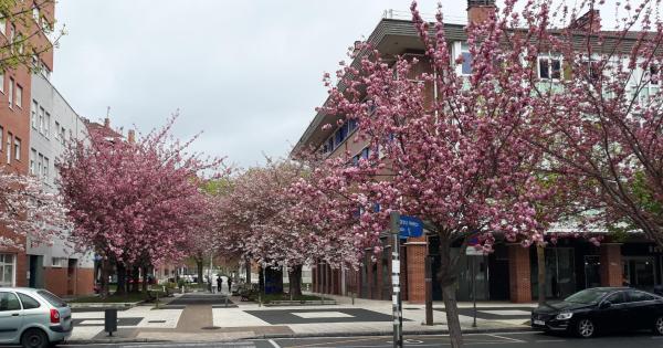 Casi 6.000 plantas florecen en Gasteiz con la llegada de la primavera. Foto: Ayuntamiento de Gasteiz