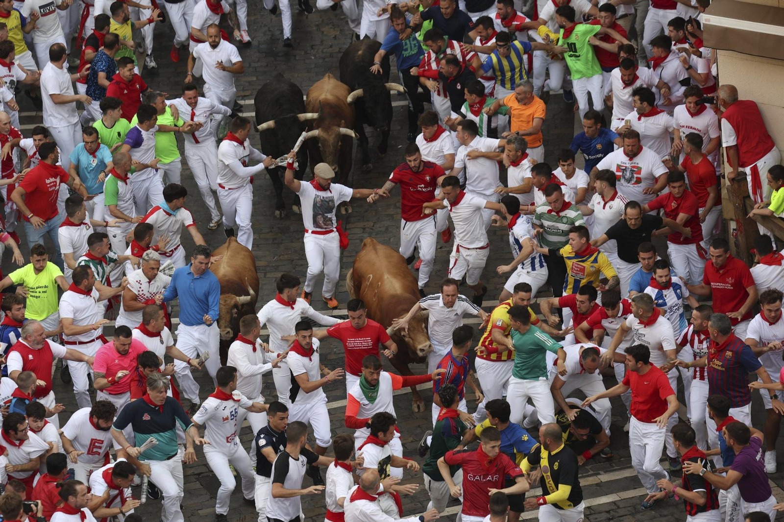 Los toros de Domingo Hernández recorren las calles de Pamplona en San Fermín. Foto: UNAI BEROIZ