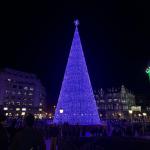 El gran árbol de la Plaza Elíptica contará con espectáculos de luz y sonido | Foto: Onda Vasca